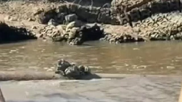 跟我拉肚子一样，先拉硬，后面都是拉稀