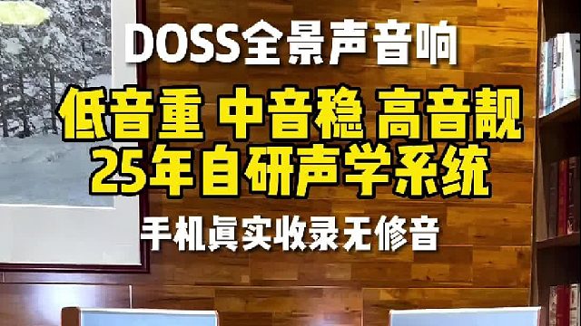每天1小时给耳朵做 Spa，DOSS魔砖MAX全景声音响