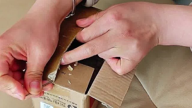 网上买了一只小鹦鹉，回来打开箱子一看心都碎了﻿