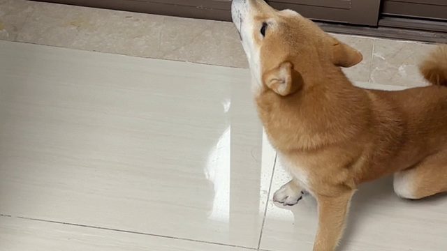 总感觉家里有大事发生…