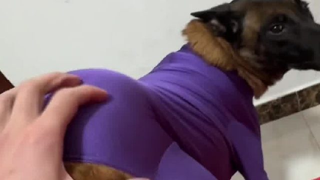 大屁股大屁股大屁股大