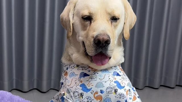 狗子：活是我干的、凭啥你分的多