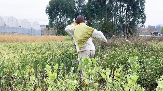 小伙下地干活，看见一个姑娘，吓得拔腿就跑