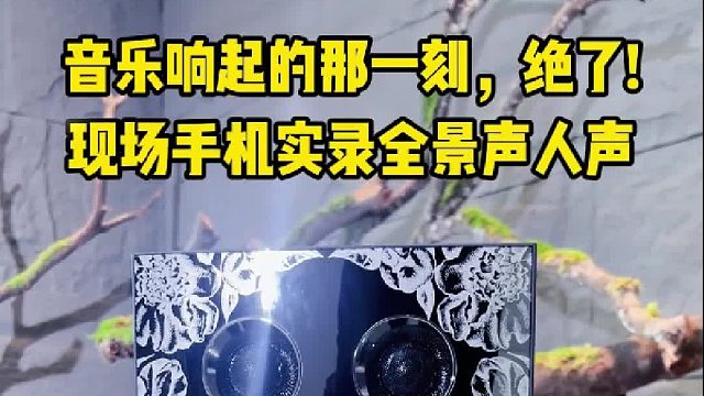 疲惫的褶皱，会在低音的震颤里轻轻舒展，DOSS乐宴全景声音响