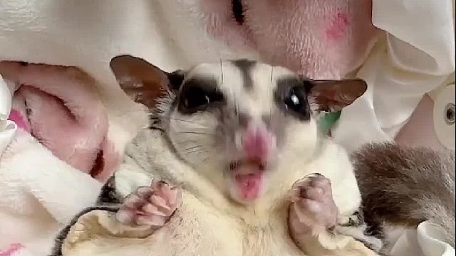 猜猜今天吃的啥