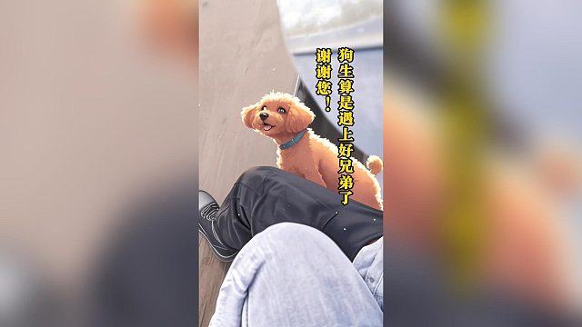 路遇狗狗狂追主人，结果...一定要看到最后