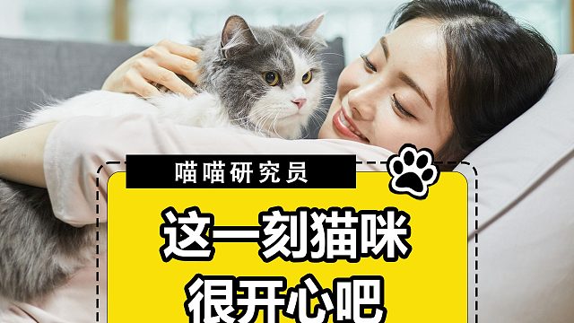 猫咪这一刻很开心吧！