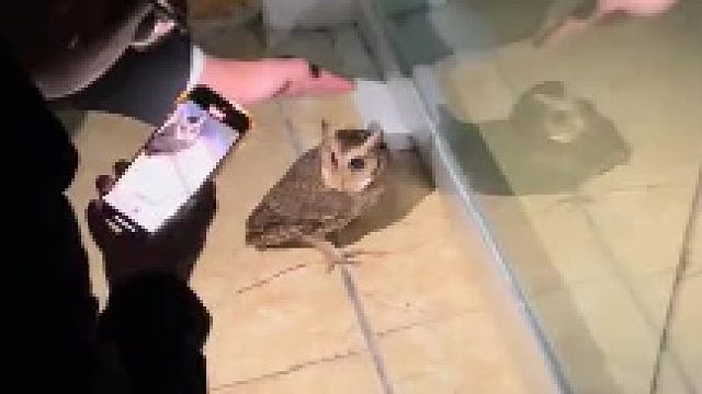 脱毛后就不好看了