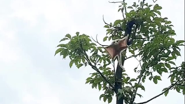 人来人往，都向着温柔