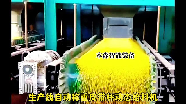 生产线自动称重皮带秤动态给料机