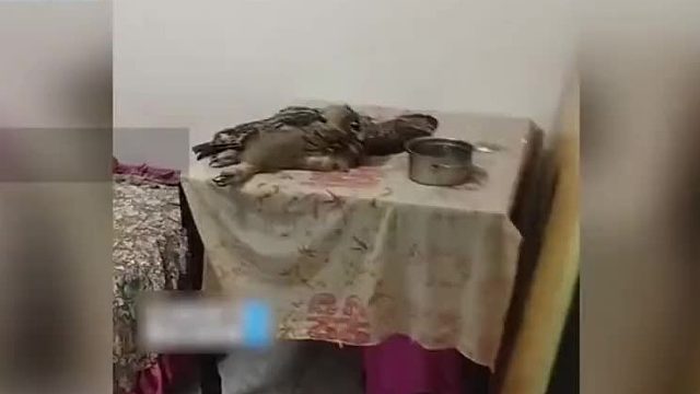 兄弟，我白天限行