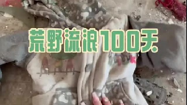 给小狗们买的衣服