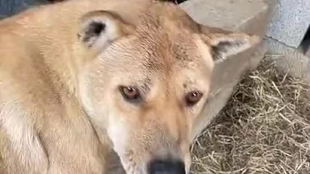 男人的手是用来打天下的，不是用来打老婆的