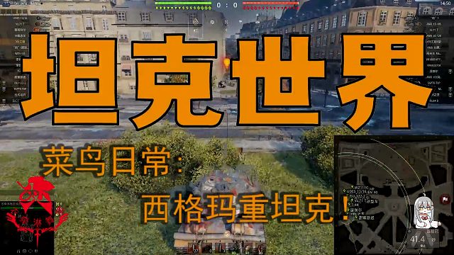 坦克世界—菜鸟日常：西格玛重坦！