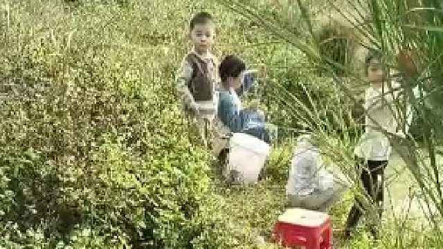 男子带娃钓鱼，网友惊呼：“一群空军佬看到沉默了”