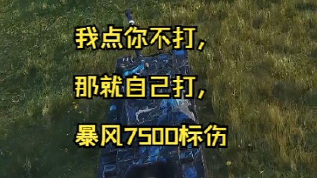 我点你不打，那就自己打，暴风7500标伤
