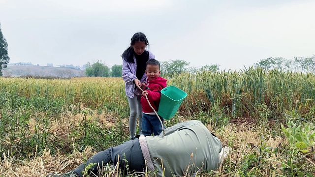 姐弟俩去摘蚕豆，竟发现地上躺着一个人