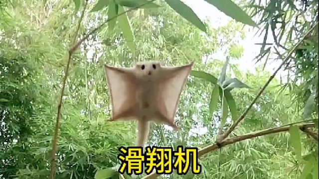 我永远朝着自由的彼岸行驶风雨无阻