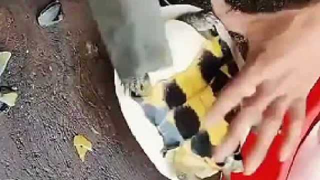 用刀给乌龟取壳，厉害了