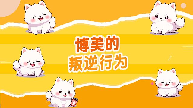 博美的叛逆行为，你家狗中了吗？