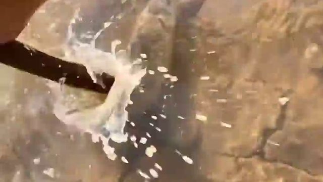 鱼：这里水里 人：？我知道啊 鱼：我是说，没石粒啊