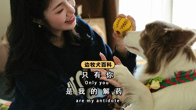 只有你是我的解药