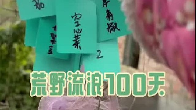 制作生长记录树