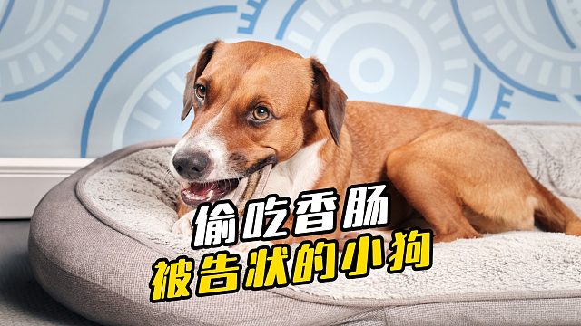 狗：劝你不要多管闲事，糟糕的家伙