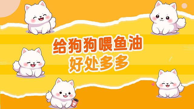 给狗狗喂鱼油的好处多多，赶紧行动起来吧！