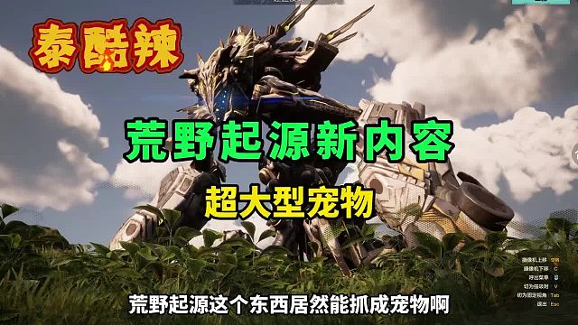 带上我的巨兽走遍天下