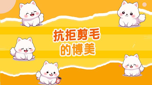 博美：我就是不剪脚毛，你能怎么滴？