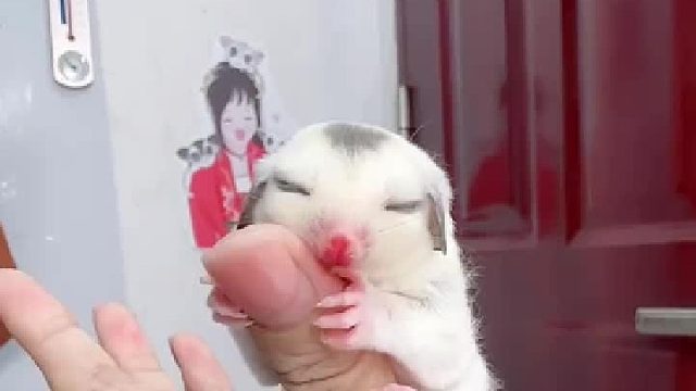 睡觉是一种解脱……