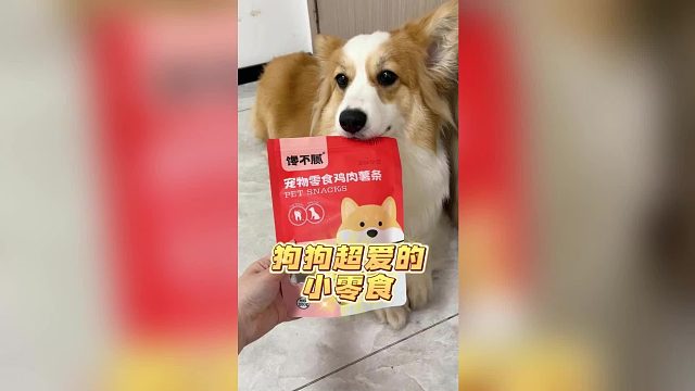 狗狗的“薯条”，磨牙又解馋！