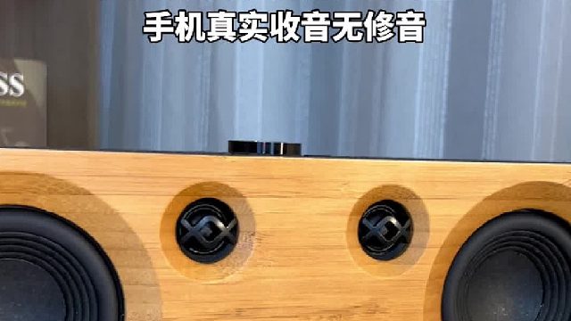 给喜欢喝茶的岳父送一台音箱应该错不了