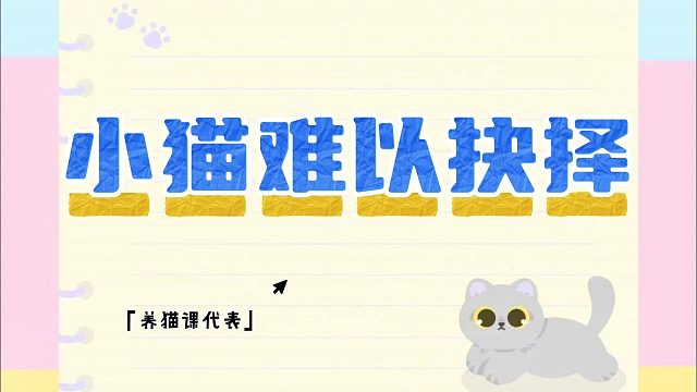 小猫大脑飞速运转：我到底该往哪走