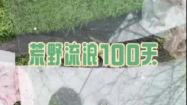 搭建草坪鲜花顶