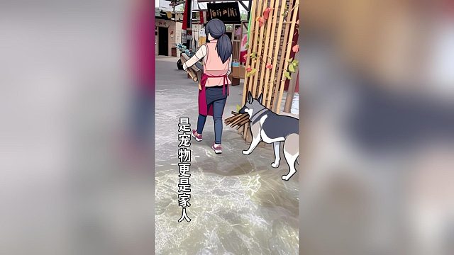 是宠物更是家人，狗狗的爱都在行动中