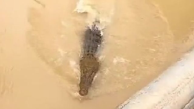 你会不会玩路亚，我问你会不会？？