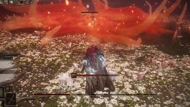 （Mealenia）玛莲妮亚这名字来源意大利语，意为“莲花”！