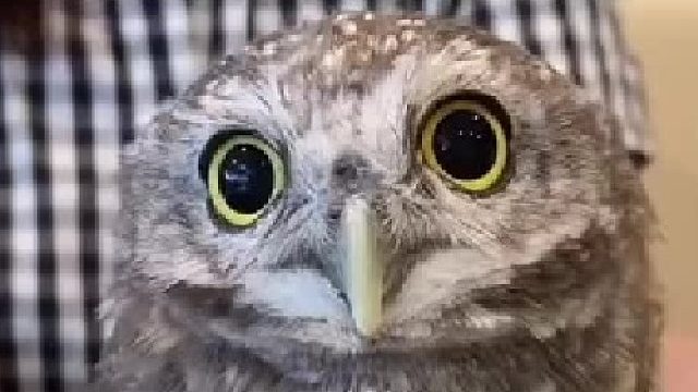 360度高清无死角