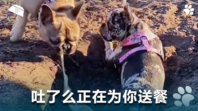 吐了么正在为你送餐，请你给好评