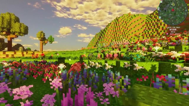 我还有太多心愿，太多梦没有实现！