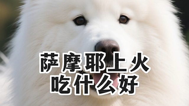 家有上火萨摩耶，这些食物快安排