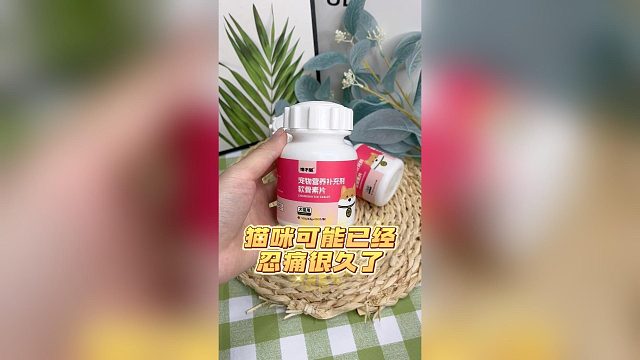 你家猫咪可能已经忍痛很久了，你还不知道吗