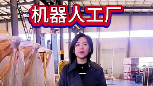 泰安关节码垛机器人 本森关节码垛机