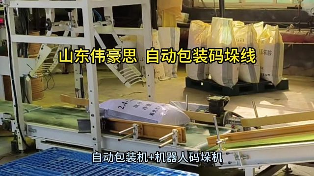 氯化钡智能包装码垛线 自动包装码垛机定制 山东伟豪思