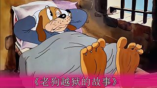 你見過如此奇葩的監(jiān)獄嗎