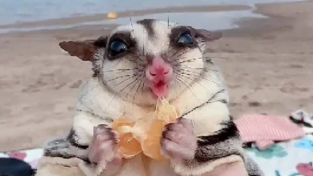 每次出门都会剪指甲的，草率了，这指甲长得也太快了