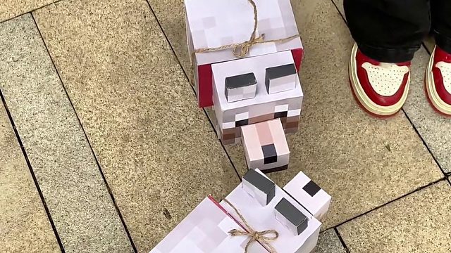 好朋友喊我下来遛狗啦