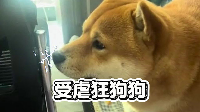 受虐狂狗狗，正常点不行？